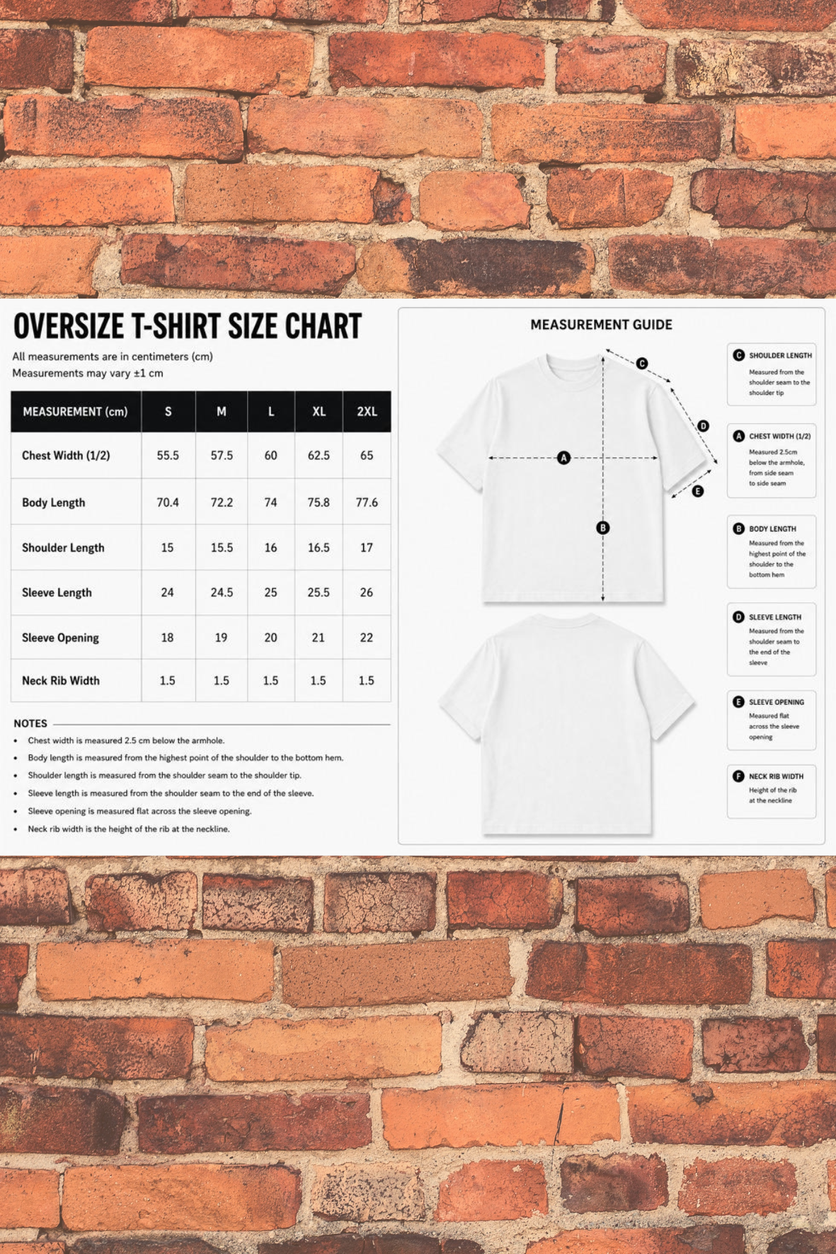 Pigeon Approved Oversized T-Shirt