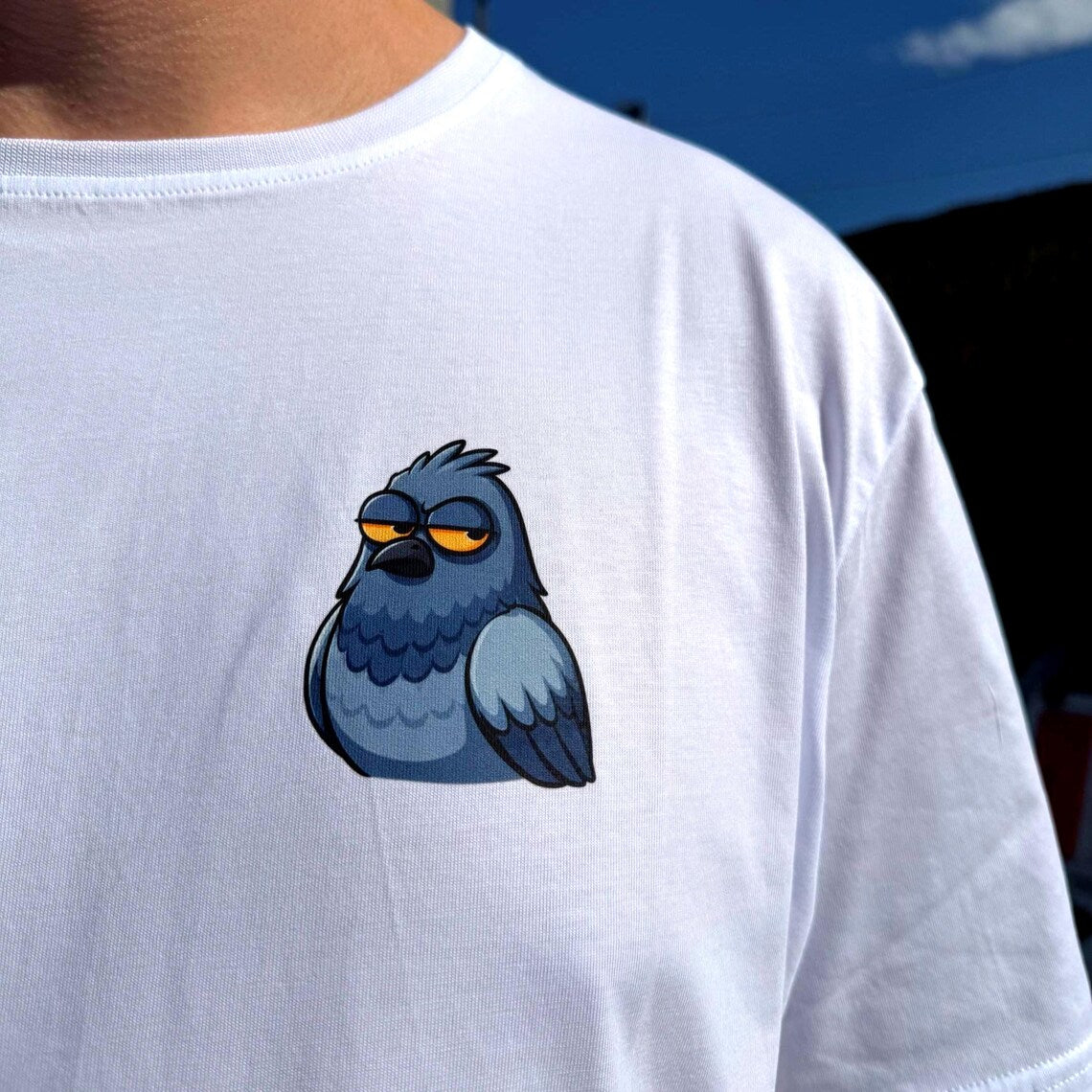 Pigeon Approved Oversized T-Shirt