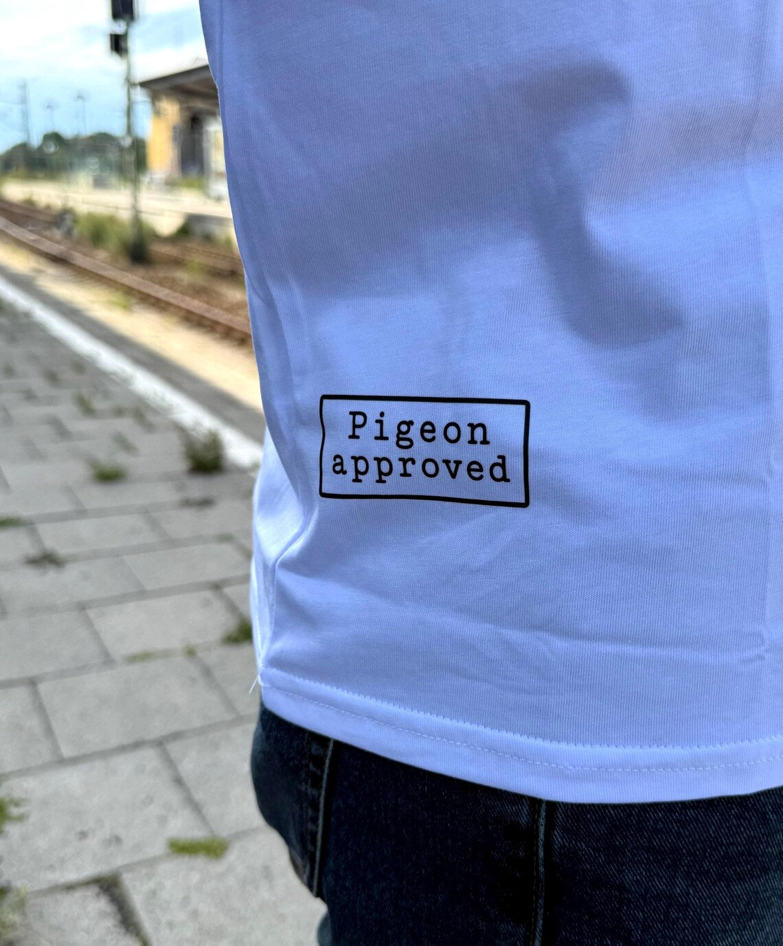 Pigeon Approved Oversized T-Shirt