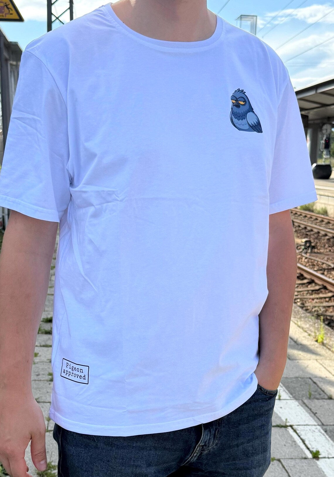 Pigeon Approved Oversized T-Shirt